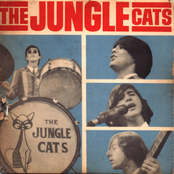 the jungle cats