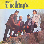 Los belkings