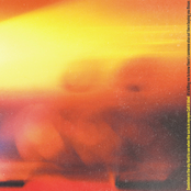 Roses/Dandelion - Single