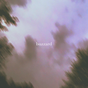Buzzard EP