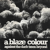 Against The Dark Trees Beyond 7''