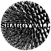 Shaggywall