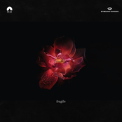 Fragile