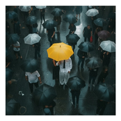 ICH HAB'S GUT, ICH HAB DICH