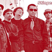 the stingers atx