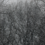 Last Snowstorm of the Year