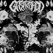 You've Probably Heard This Before