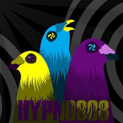 hypno 808