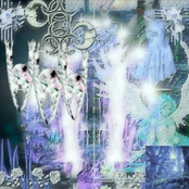 ชาริบบิ้น (طازج)✰_✰ 现在喝 !!