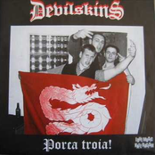 devilskins