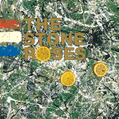 the stone roses