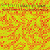 Árvores do Fundo do Quintal