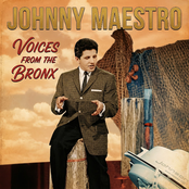 Voices from the Bronx