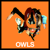 Owls
