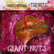 Daniele Gottardo: Giant Nuts