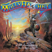 25th Anniversary Song by Molly Hatchet