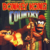 Donkey Kong Country, Vol. 1