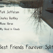 Mane Horse/Park Jefferson/My head In Clouds/Charles Barkley  2012 Split
