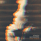 Olive Branch cover
