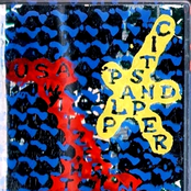 Paper & Plastic