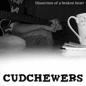 Dissection of a broken heart