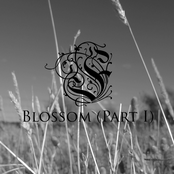 Blossom (Part I)