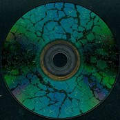 Płucienniczak Gnije!