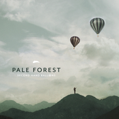 New by Pale Forest