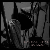 Pitch Black by Lost Soul Refuge
