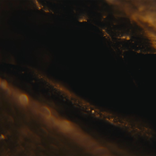 Obsidian