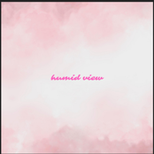 humid view