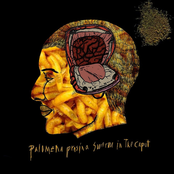 palomena prasina swarm in the caput - FULL EP SESSION -