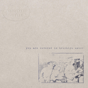 You Are Covered in Brooklyn Amber