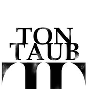 Tontaub