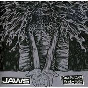 Flaws And All by Jaws