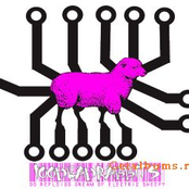 The American Wet Dream