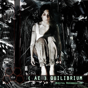 (AE)quilibrium-Digital Reconnection