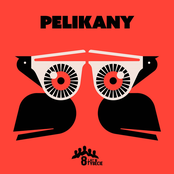 Pelikany