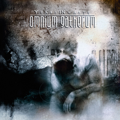 The Fall Went Right Through Here by Omnium Gatherum