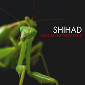 Dark Times by Shihad