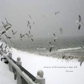 Imitation Of The Breathing On Deep Chill 2010