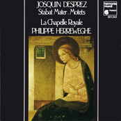 Josquin Desprez: Stabat Mater, Motets