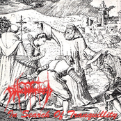 In Search Of Tranquillity