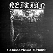 I Skuggornas Mörker