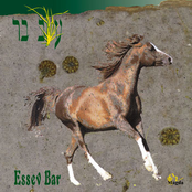 Essev Bar