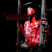 Sever The Voices by Veil Of Maya