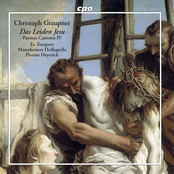 Das Leiden Jesu: Passion Cantatas, Vol. 4