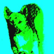 Music from a stolen film