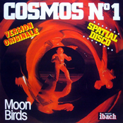 Cosmos N°1 by Moon Birds