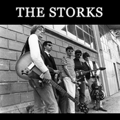 The Storks Are Back In Town